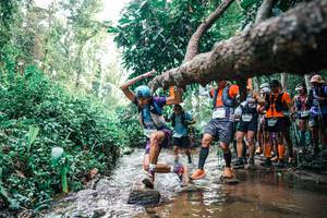 BIB: 
                            <button type="button" onclick="openModal(25371796)" class="btn btn-primary btn-sm float-right btn-popup" data-toggle="modal" data-target=".modal-high-quality">
                        <i class="fas fa-shopping-cart"></i> Add to Cart
                    </button>
                                            <button type="button" onclick="isThisMe(25371796, true)" class="btn btn-success btn-sm float-right btn-popup btn-isme hidden" data-toggle="tooltip" data-placement="bottom" title="นี่คือรูปของคุณใช่ไหม คลิกที่นี่เพื่อเอาเข้าอัลบั้ม">
                        <i class="fas fa-plus"></i> Add to album
                    </button>
                    <button type="button" onclick="isThisMe(25371796, false)" class="btn btn-warning btn-sm float-right btn-popup btn-isnotme hidden">
                        <i class="fas fa-ban"></i> Remove from album
                    </button>